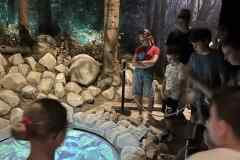 e6191334-0d18-4cd3-8245-8a6443214db1