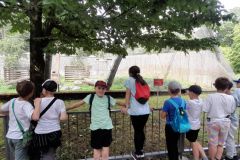 53f45b64-1838-4618-90ee-91c90eadb6ce