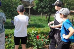 550bf186-1153-4163-9ec2-ae87eb13cad8