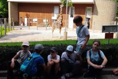 6a943cb6-410d-46e3-ab03-9c3895e16574