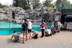 6b78396c-4b04-4961-9bd9-4111dca4758d