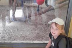 74df11e5-ace4-4046-80af-b5d21b9b9d07