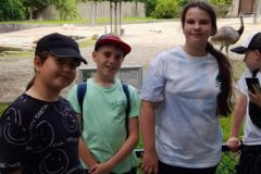 a0d31b5f-0dc3-499e-b969-394a84fdcfac