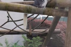 b1e3aacb-9c1f-4337-9694-ad1259fd3636