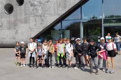 d3a02ebd-8d02-4604-befc-aee4187c4020