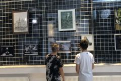 IMG-5806
