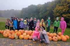 01913be1-631f-411c-afc3-7c2749cc6b65