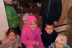 07d39372-3a08-4d16-8ac7-374e4e3000a1