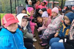 47e688a4-34bd-447e-a3e6-bae856cf7bdf