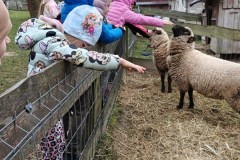 4fde55d6-c99f-4cd9-aa0d-1120ccd04162