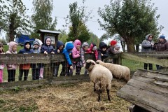 6ca67d52-0419-44b9-8149-ce71f6cd3c1a