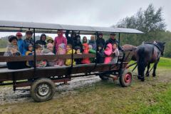 7020b272-2cb0-43ac-b6ef-521185f58a3a