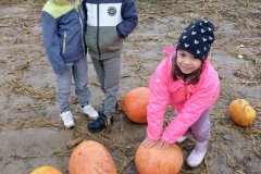 714a147e-8467-49ba-abe2-5939b40ac1dc