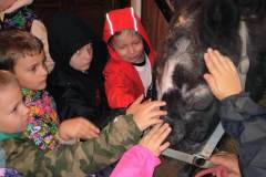 85456ab7-7822-4d02-8dcc-87881aea487b