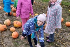 a62a29f5-8a21-40cc-b6ef-69229283df5c