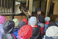 aaeb8618-713d-45cc-b866-11fb6810274c