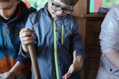 c7479b33-e4a4-4486-bee5-fe3b229f0bd2