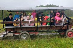 d484026b-d4d9-43fe-b826-dd8ec7a6a1c7