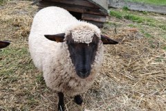 f1006d25-72a2-47eb-a36a-f7b7990387d5