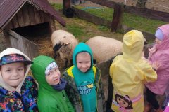 f335e30d-c91f-4526-a9c2-bd47e24452e8