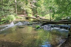 IMG_20260608_095512
