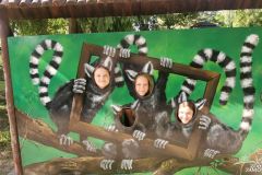 IMG_20260608_163840