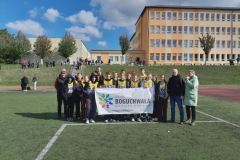 a06bf852-121a-4128-806a-f6a1978f5a48