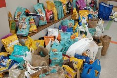 2956c14e-da87-4f7d-ab76-001f4dd7e7b7