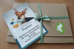 2e039aab-5eeb-4cf8-9094-f609fea0bde8