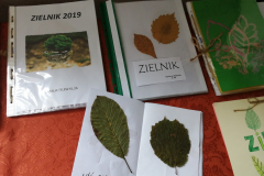 zielniki4