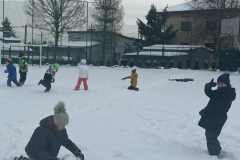 0d0d7194-b1ec-414c-94ee-9105149ebe11