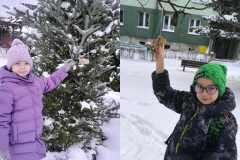 1d7a7575-3c11-4199-88d2-a177f76c3316