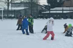 d9f41a2e-4036-41f3-a556-a732be6c0cf6