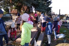 IMG_20211027_133307