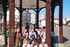 IMG_20210619_091348