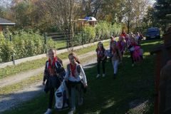 IMG_20221018_132657
