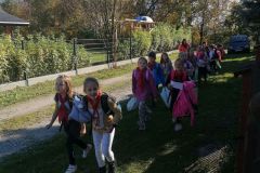 IMG_20221018_132700