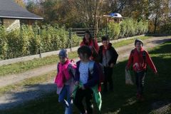 IMG_20221018_132707