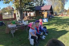 IMG_20221018_133450