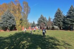 IMG_20221018_135635
